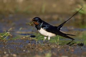 Nun beeil dich mit deinem FOTO!