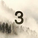 Die Gänse der Nummer 3