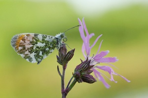 Frühlingshafte Farben :O)