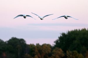 Spät abends drehten...