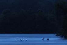 Gestern Abend bei...