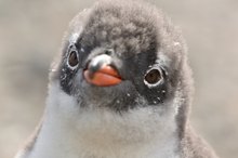 ja, wer bist DU denn???