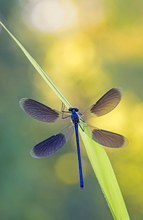 ein "prächtiger" Morgen