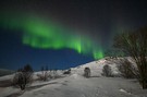 Nordlicht auf den Lofoten
