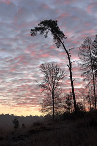 Ohligser Heide bei Hilden