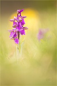 Wir sind auch schon da!