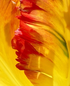 Licht- und Schattenspiel ...