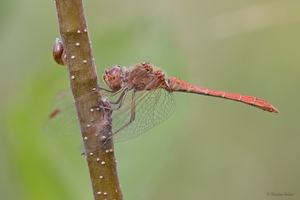 Was man nicht so alles findet...