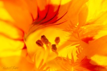 Ein paar Männecken ...