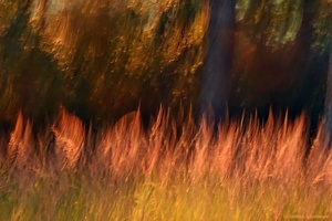 Nein, es brennt nicht!