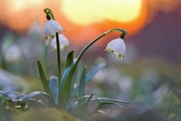 Endlich ein Hauch von Frühling