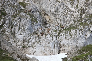 Nun ab in den Schatten II