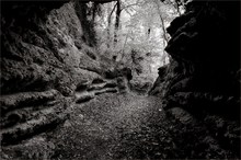 " Durch diese hohle Gasse muss er kommen.. "