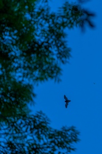 Dass das klappt, hätte ich nicht erwartet!