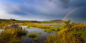 Überm Regenbogen