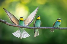 Der Adler ist gelandet...