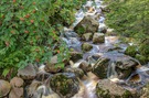 Kleines Bächlein mit dem schönen Namen..