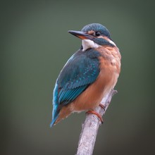 Es kommt immer anders als man denkt...