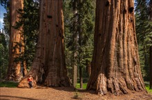 Groß und Mächtig II
