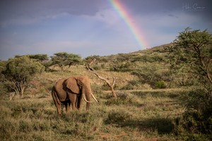 Somewhere under the rainbow...
