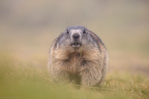 Einfach mal neugierig