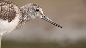 Mittendrin statt nur dabei...