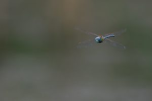 ~ Auf geht's in den Süden ~