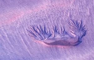 Ich sag mal einfach......