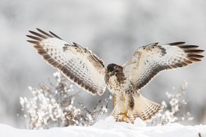 Da bin ich wieder…