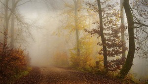 Rückblick Herbst 2024