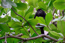 Presslufthammer Bernhard :-)