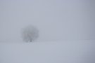 Schnee und Nebel...