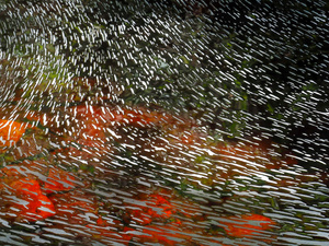 Kein Schnee,  kein Eis