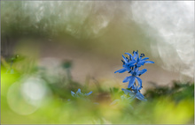 "Nicht mehr lange..."