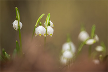 Haben wir denn schon März?
