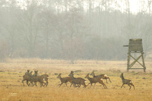 Bei strömendem Regen