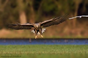 Ein absolutes Highlight