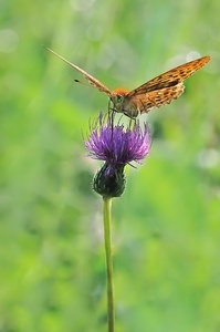 Gegenlicht und Schatten