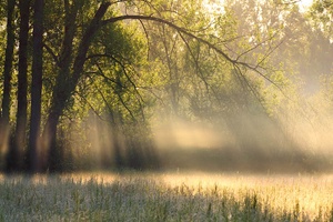Ein neuer Tag beginnt...