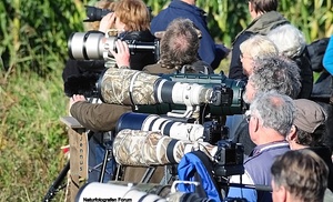 Forum der Naturfotografen